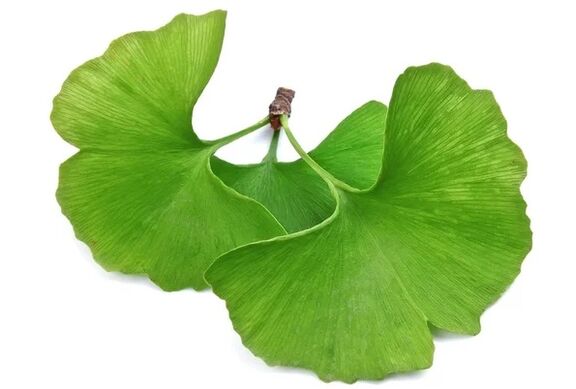 OstyHealth contient du Ginkgo biloba