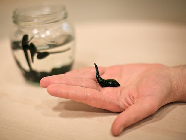 Utilisé pour traiter l'arthrose de l'articulation du genou